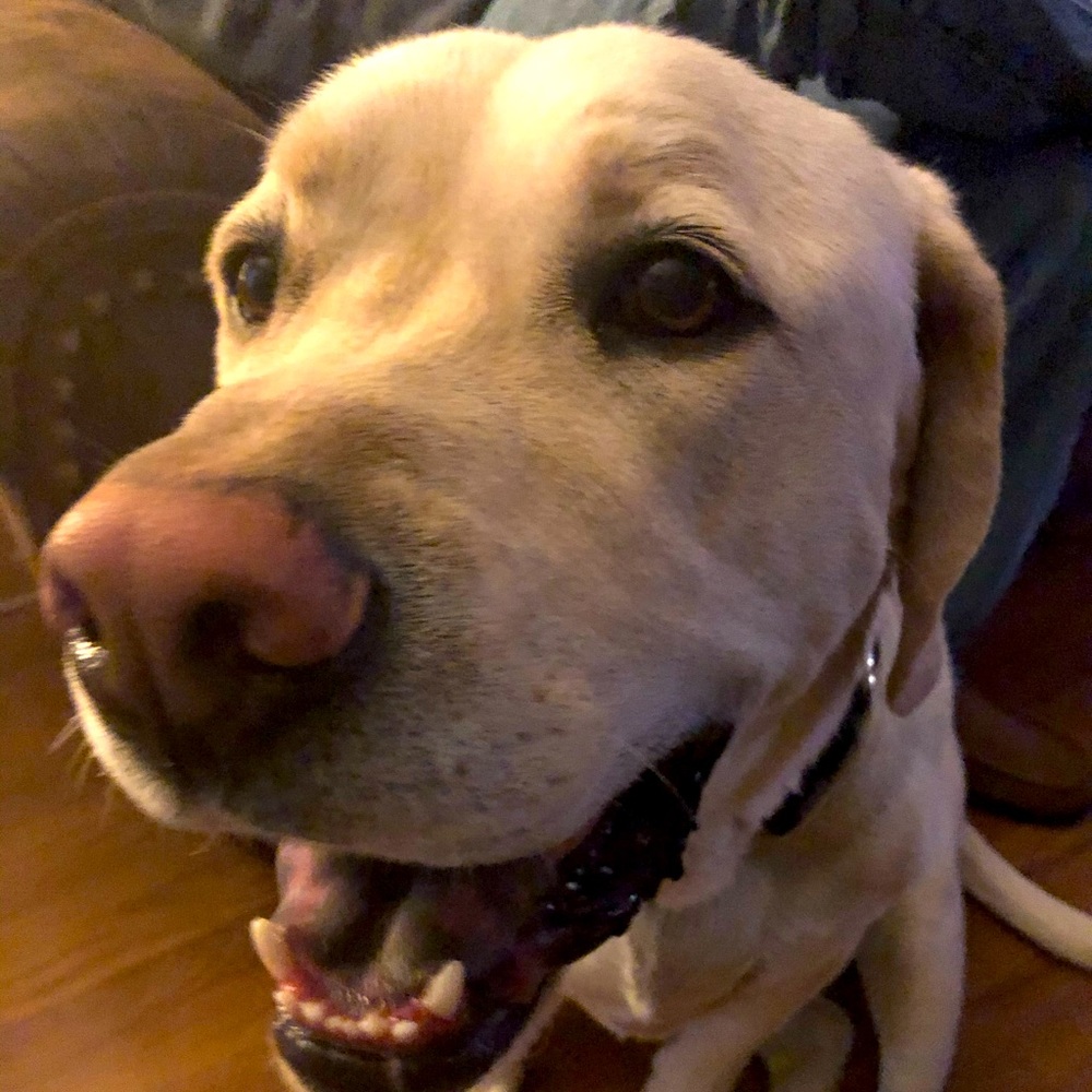 Meet your Posher, Selena